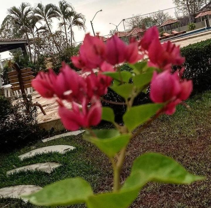 Pousada Recanto Dos Passaros Balsas Luaran gambar