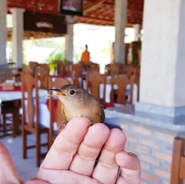 Pousada Recanto Dos Passaros Balsas Luaran gambar
